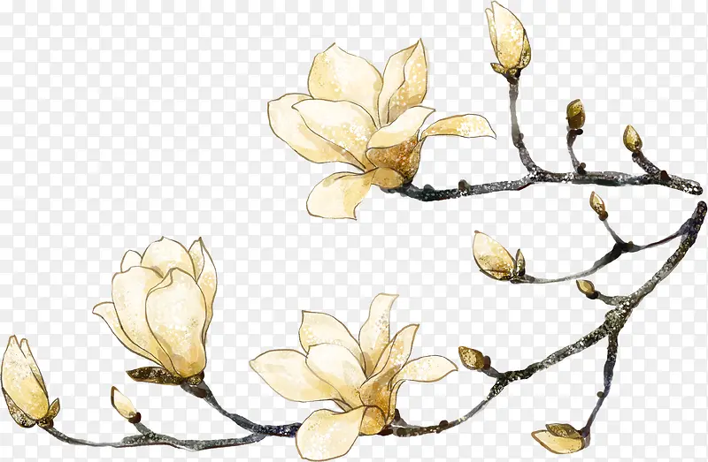 手绘花卉艺术画报