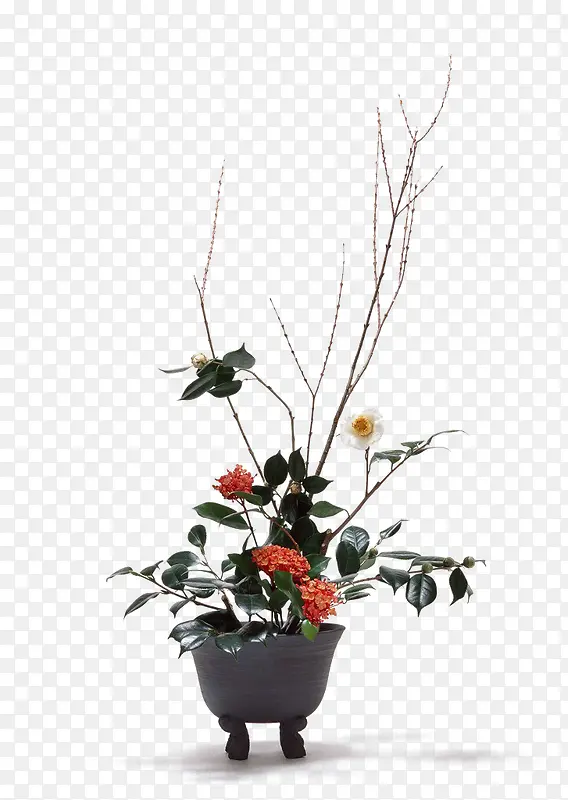 花艺