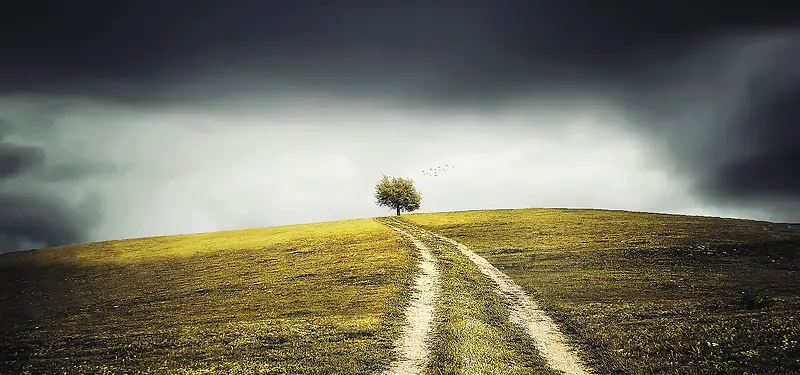 摄影背景