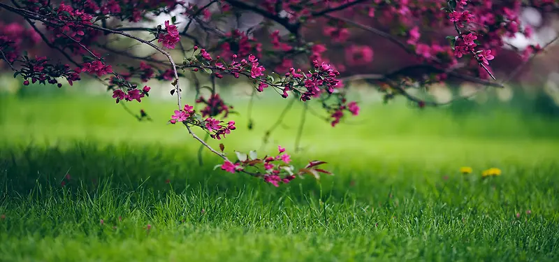 自然风景