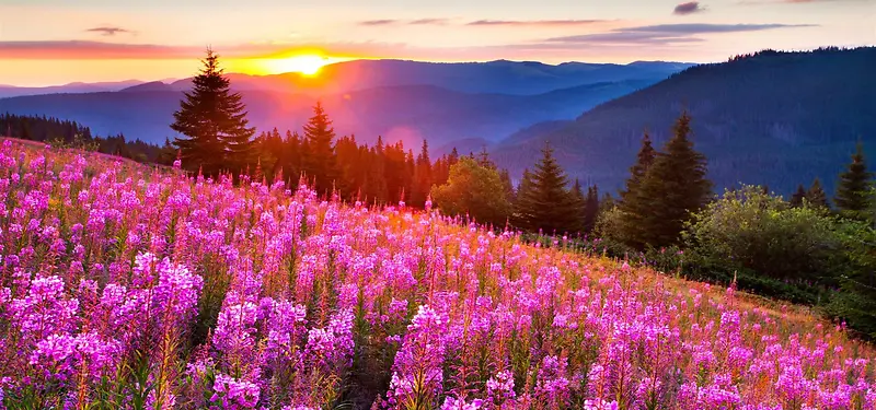 自然风景