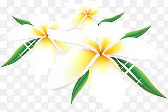 白色卡通花夏日