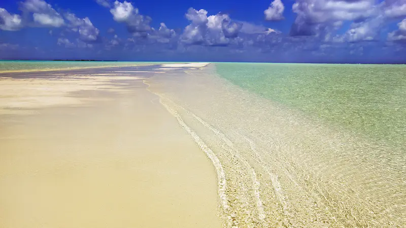 一望无际的海滩海报背景