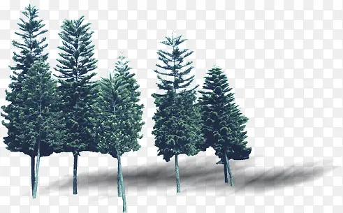 绿色城市景观植物