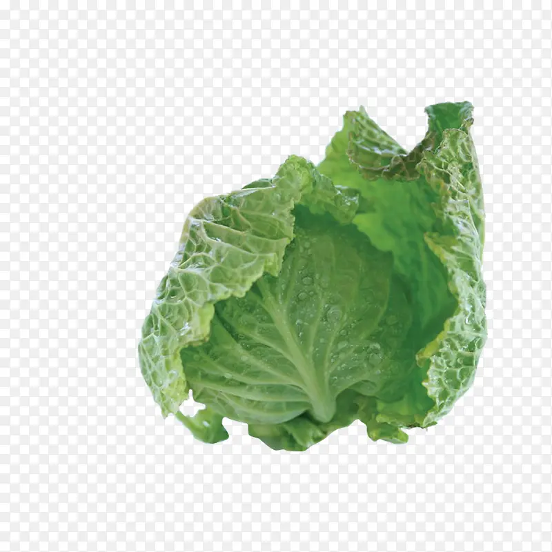 菜叶