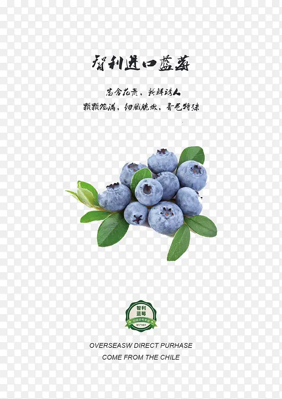 蓝莓广告