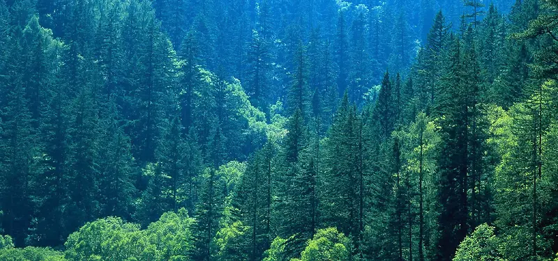 精选素材背景