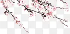 一枝梅