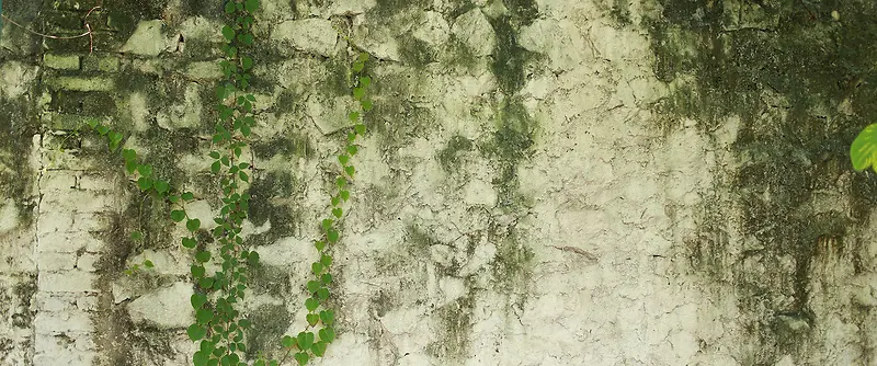 墙壁