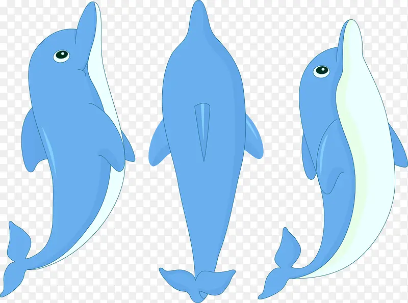 卡通海豚