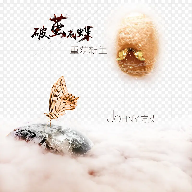 破茧成蝶海报
