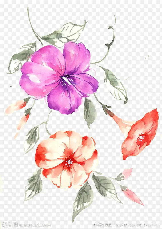 花PNG图片素材下载_图片编号11141827-PNG素材网