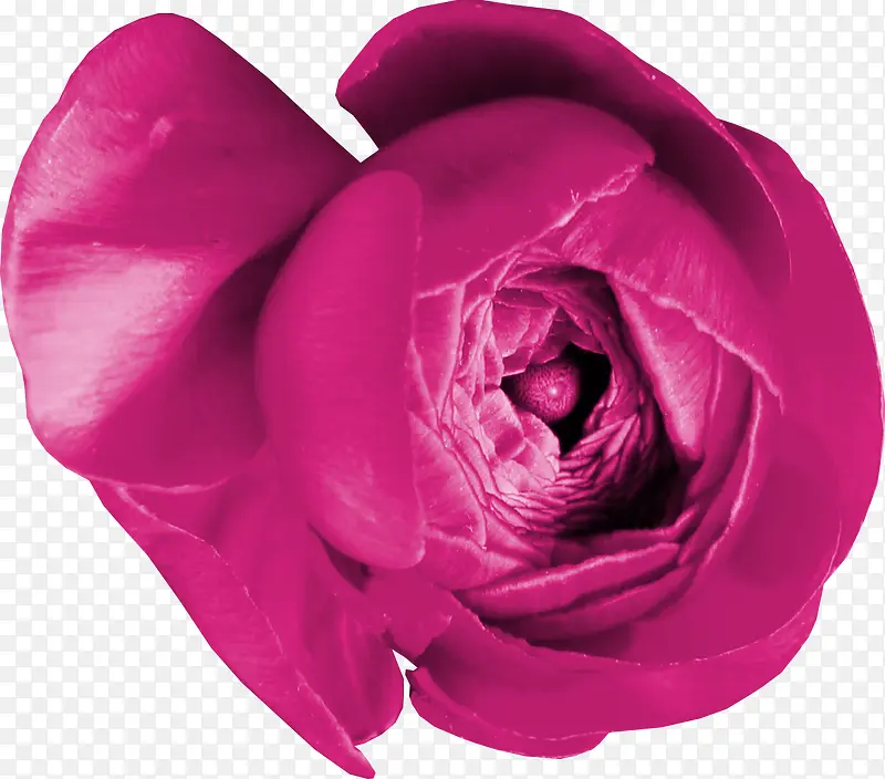 粉花