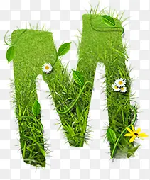 绿草m毕业季