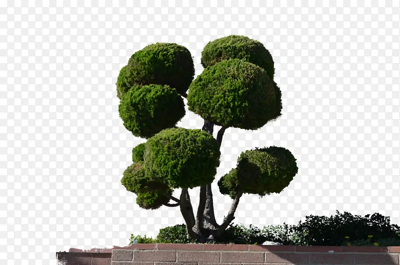 球形数木元素