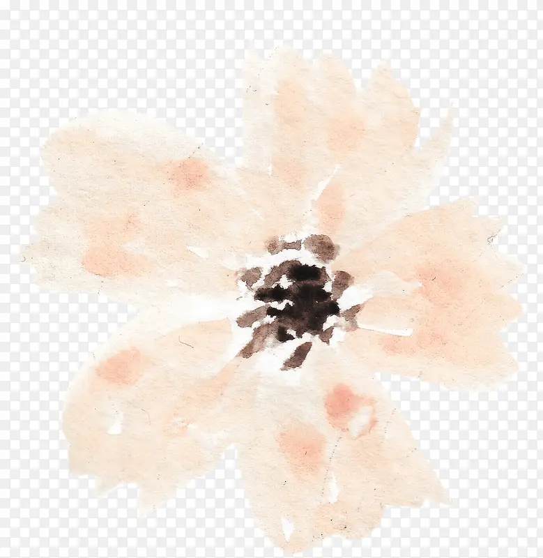 橘黄淡雅花朵