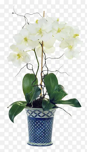 白色插花装饰