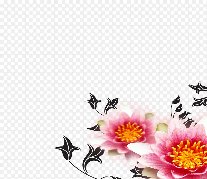 角花 花