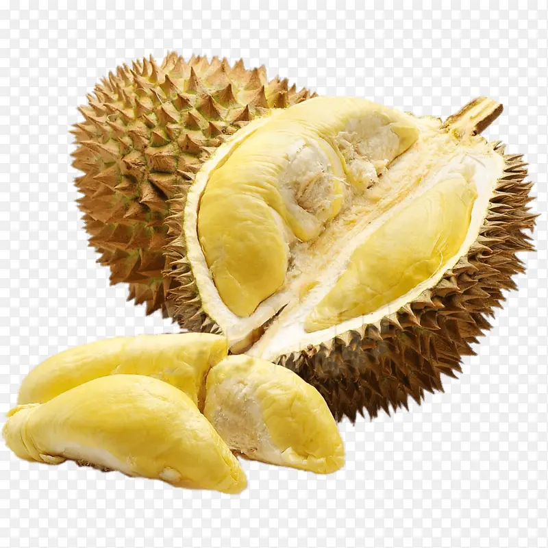 榴莲免扣素材
