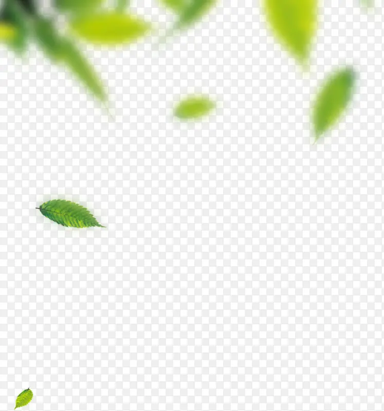 模糊的绿色落叶背景