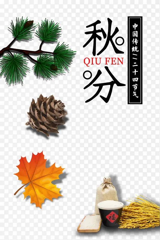 秋天秋分松树树叶谷子
