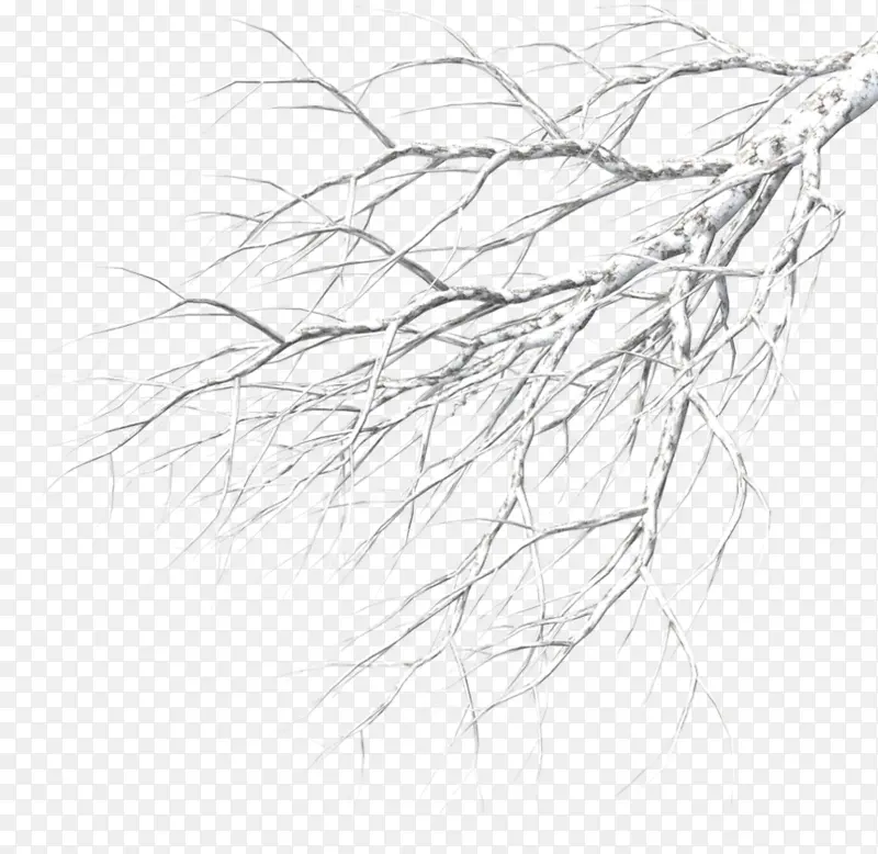 精美手绘水彩中国风冬天覆雪树枝插画素材