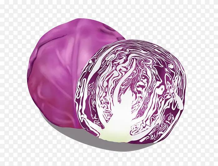 蔬菜类紫甘蓝