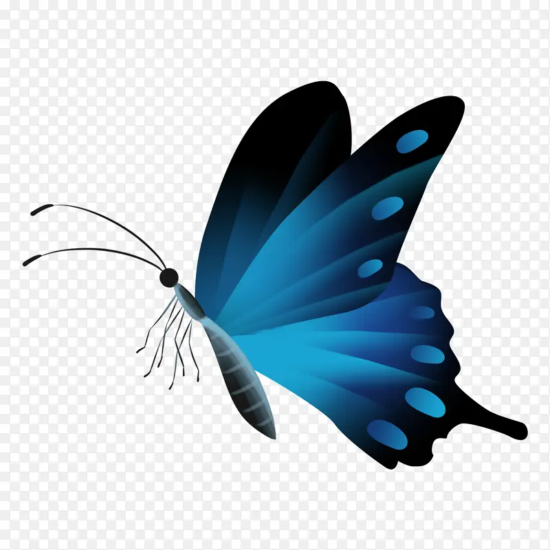 手绘透明蝴蝶PNG