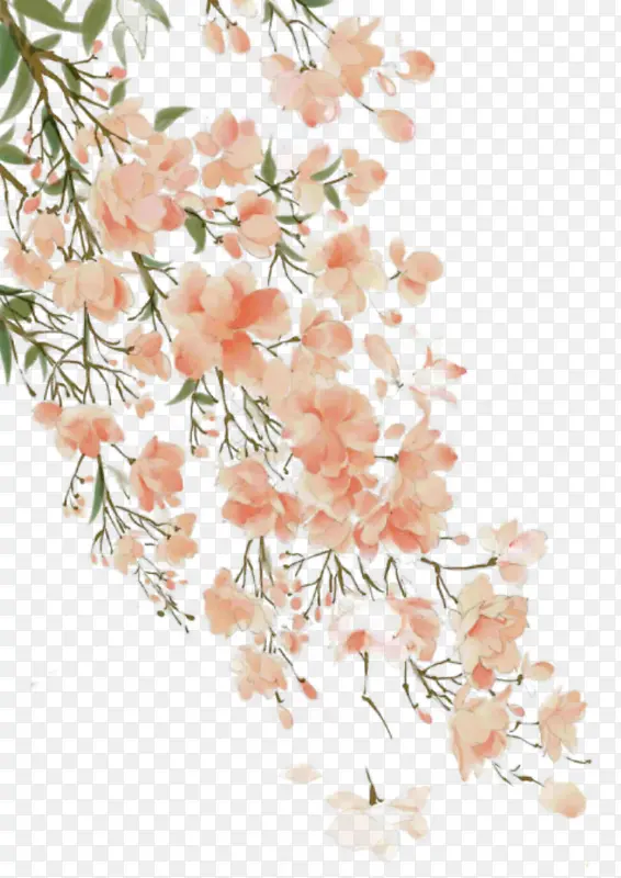 古风彩绘的花枝