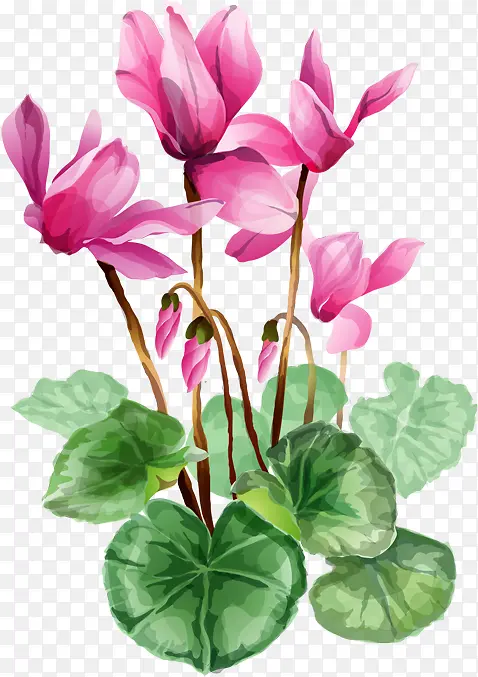手绘高清鲜花插画