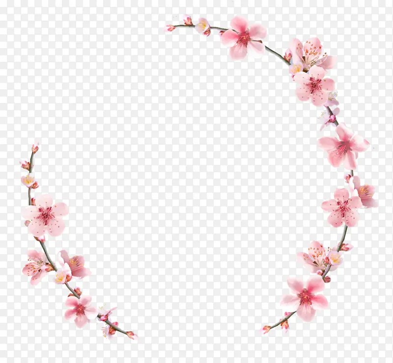 花环png花圈花框植物边框