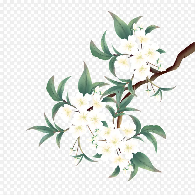梨花枝条免扣元素梨花