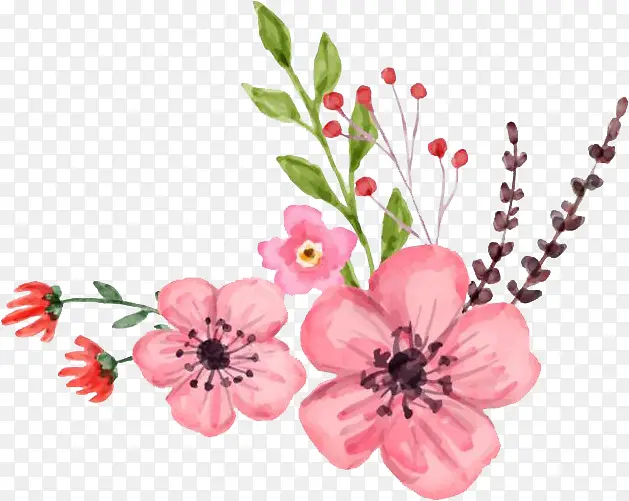 立春节气桃花花朵png