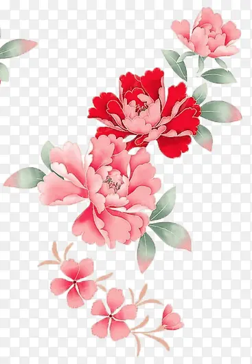 粉色牡丹花素材