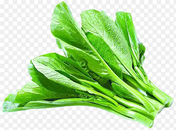 绿油油的菜心