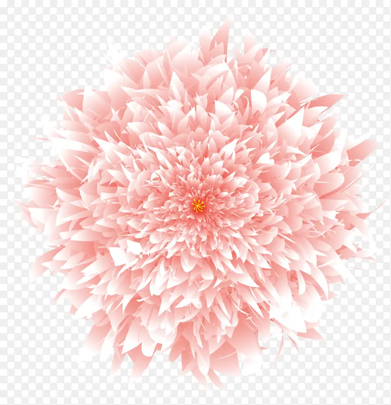 粉色，牡丹花，