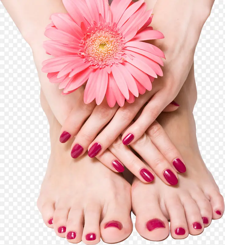脚  指甲  花 女人   美腿