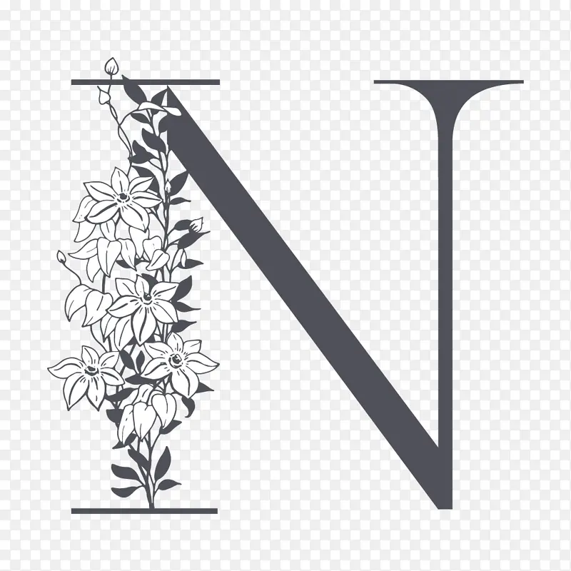 素雅花枝字母N
