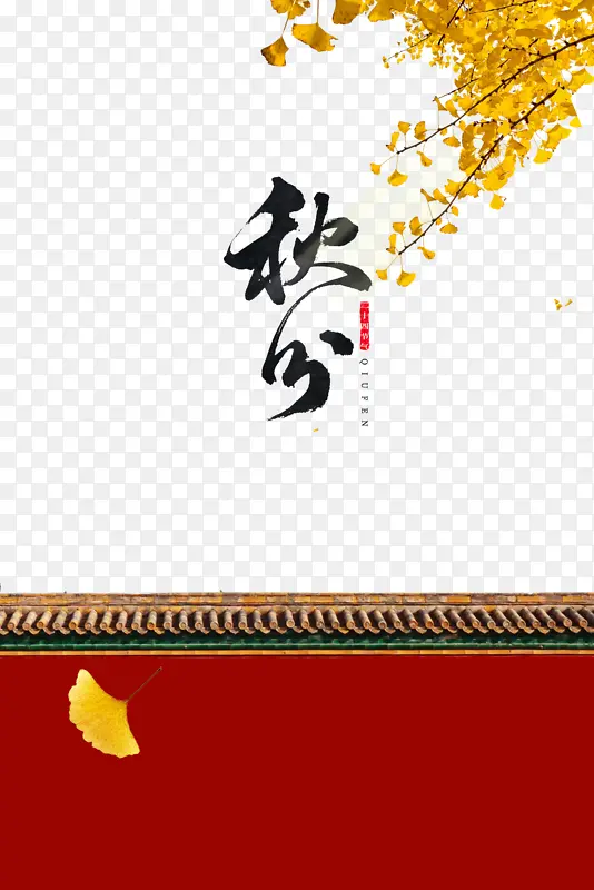 秋天秋分围墙树枝落叶