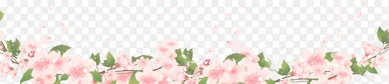 粉色桃花边框