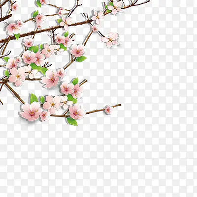一枝粉红的桃花