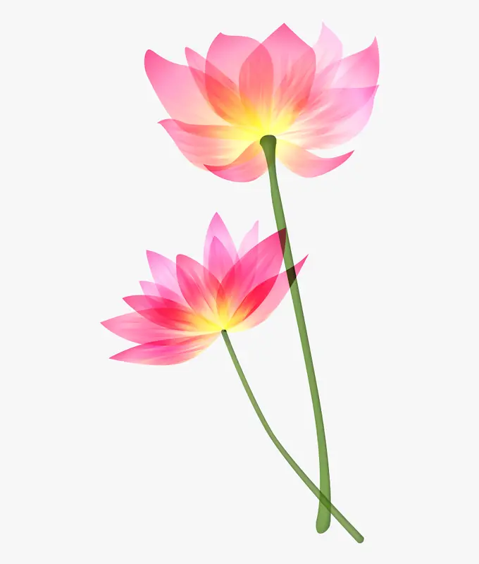 精美荷花手绘中国风插画素材