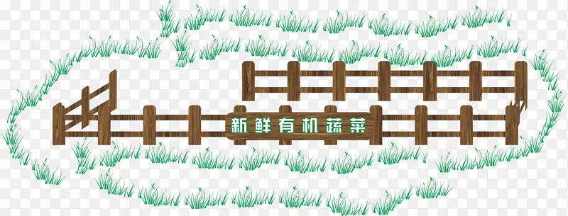 新鲜有机蔬菜