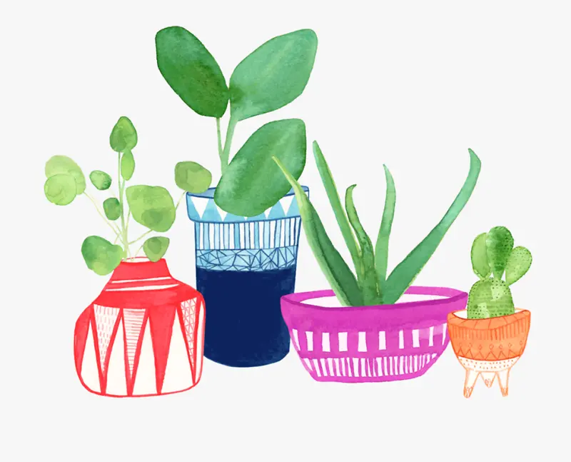精美手绘水彩风格植物插画素材