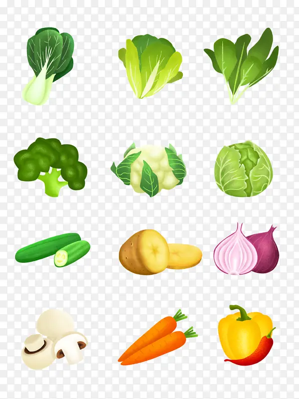 瓜果蔬菜，洋葱，黄瓜，白菜