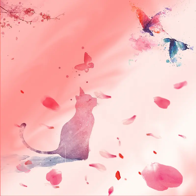 来自猫的凝视