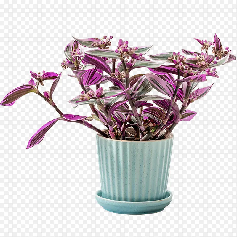 蓝色折纸盆油画婚礼盆栽