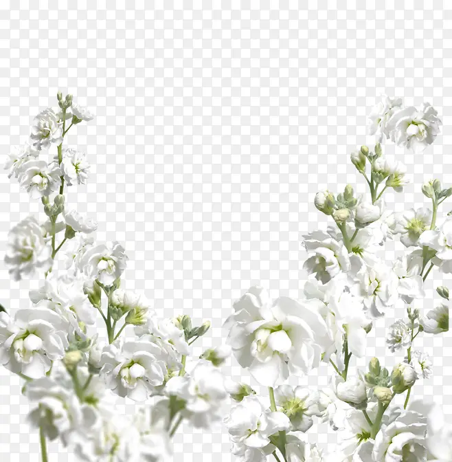 花草背景搭配素材