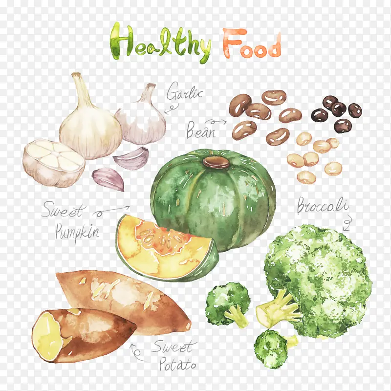 各种蔬菜食物