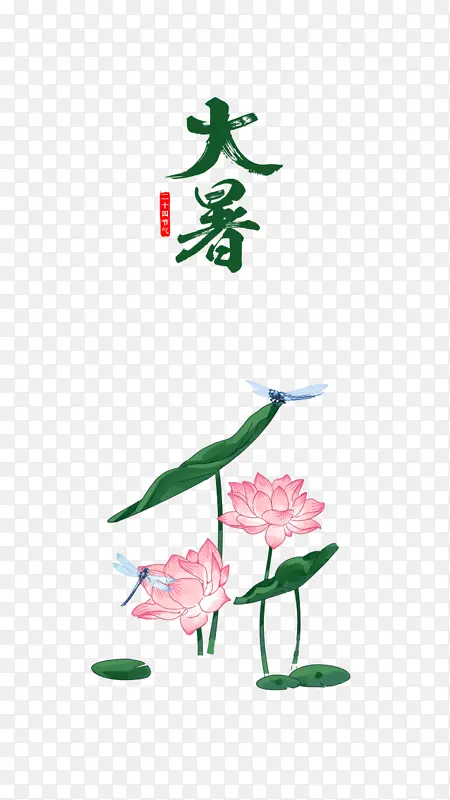 大暑夏天蜻蜓荷叶荷花